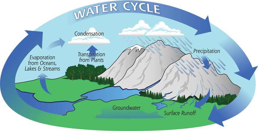 Diagram of the Water Cycle: Evaporation, Condensation, Precipitation