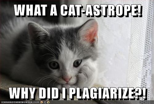 Sad Kitten, with its head leaning on its paw, and the caption, What a Cat-astrope! Why did I plagiarize?!