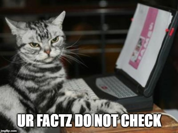 Cat at computer with the caption, Ur Factz Do Not Check