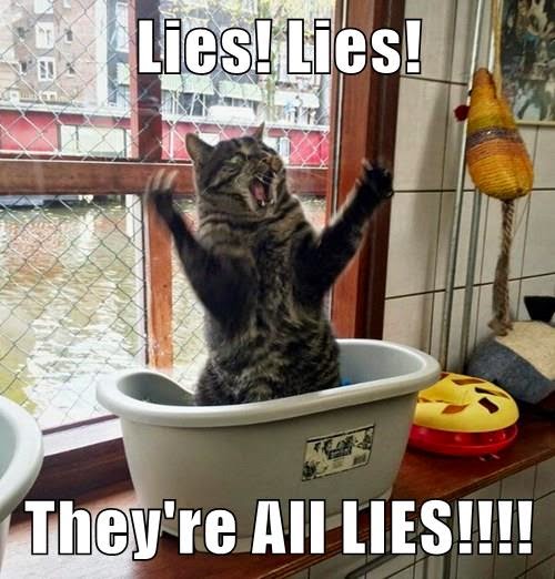 lolcat, appearing to protest being in a tub, with the caption, Lies! Lies! They're ALL LIES!!!