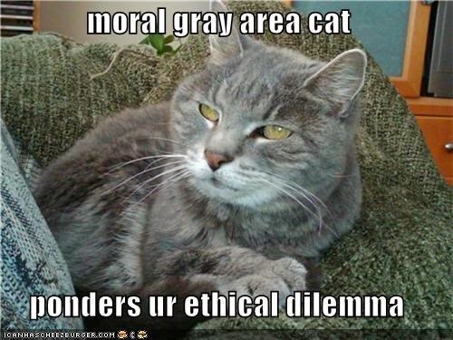 gray lolcat with the caption, Moral gray area cat ponders ur ethical dilemma